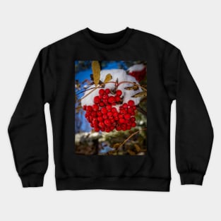 Winter Berries 2 Crewneck Sweatshirt